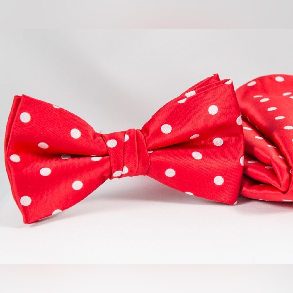 elegant Sparkle 2 sided polkadots y2k Mens Warehouse striped bow tie formal wear